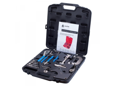 Набор фиксаторов распредвала / коленвала, RENAULT, кейс, 20 предметов, МАСТАК